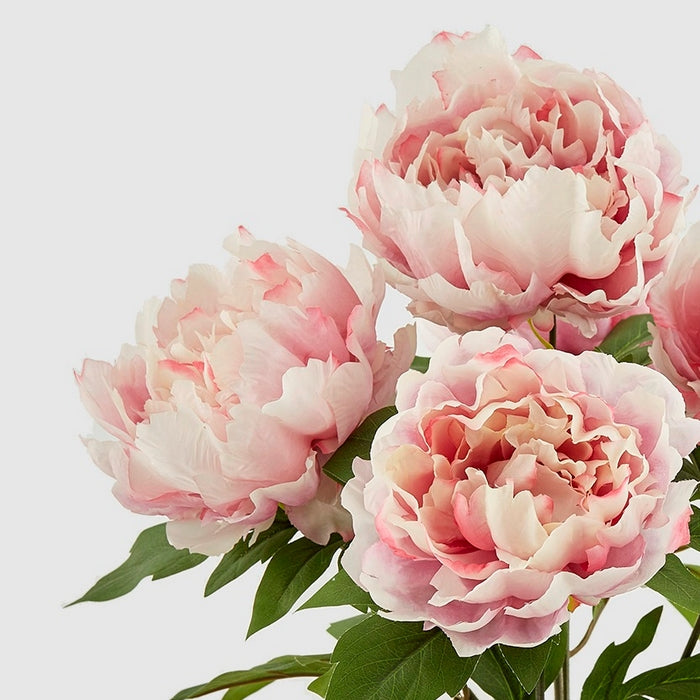 Bouquet artificiale di peonia con 5 fiori - EDG - 34264351539416