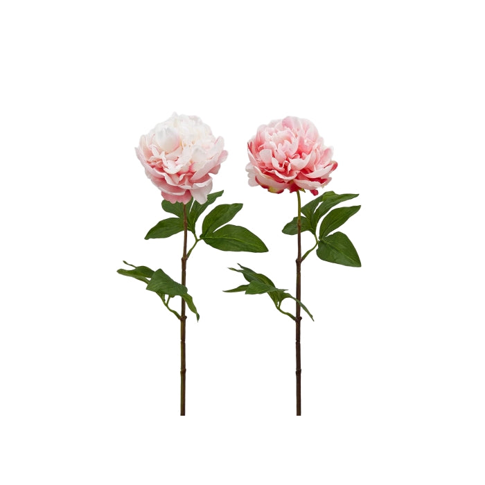 Ramo artificiale di peonia 65 cm - EDG - 34259269976280