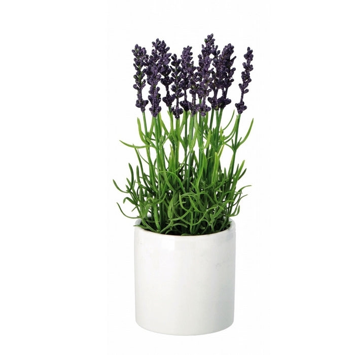 Vaso con pianta artificiale di lavanda - AD TREND - 34265716130008