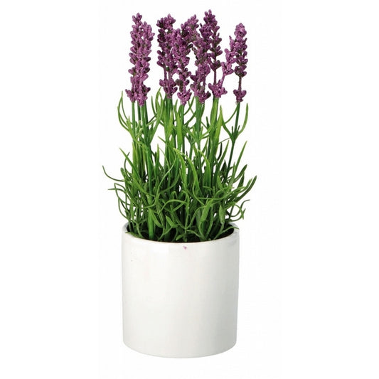 Vaso con pianta artificiale di lavanda - AD TREND - 34265718128856