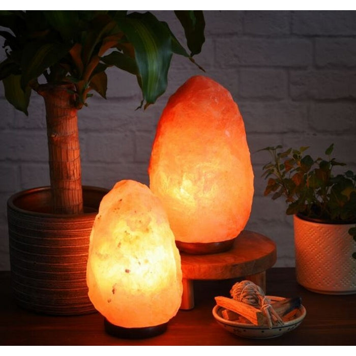 Lampada in salgemma naturale dell'himalaya con base in legno - INDIAWORD - 34277447237848