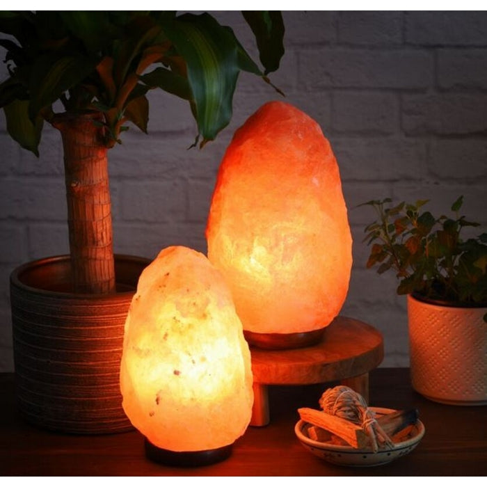 Lampada in salgemma naturale dell'himalaya con base in legno - INDIAWORD - 34277451432152