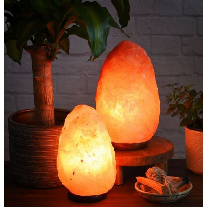 Lampada in salgemma naturale dell'himalaya con base in legno - INDIAWORD - 34277453103320