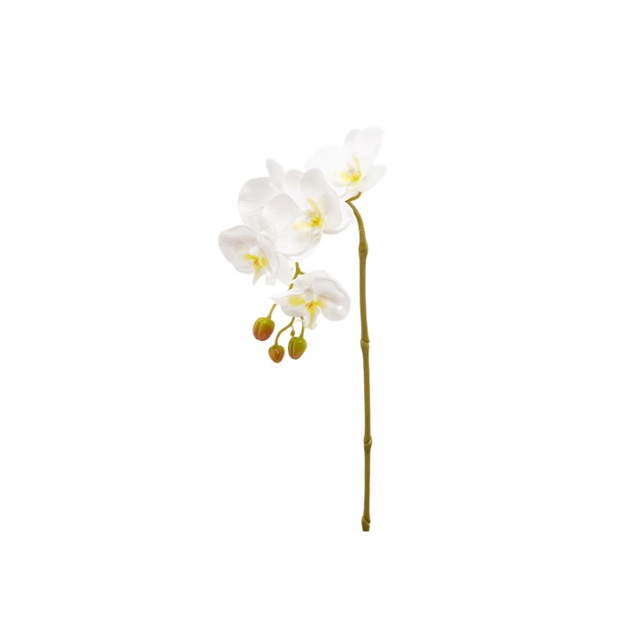 Ramo di orchidea artificiale Olis 3D 5 fiori 70 cm - EDG - 34264901746904