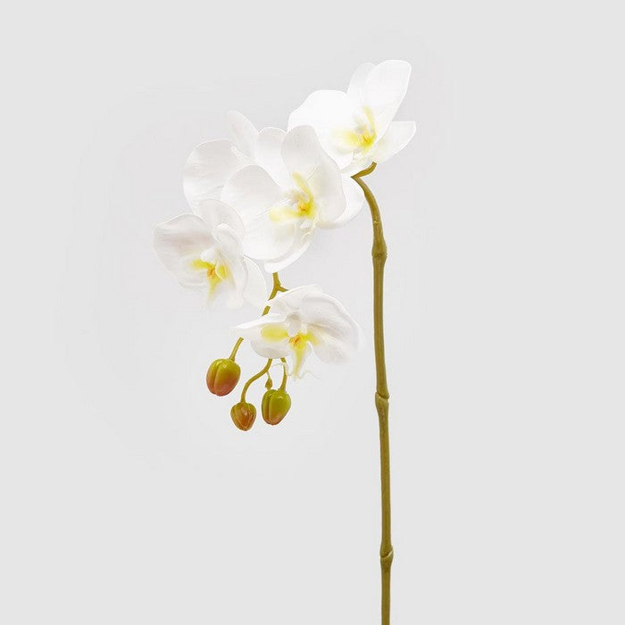 Ramo di orchidea artificiale Olis 3D 5 fiori 70 cm - EDG - 34264901779672