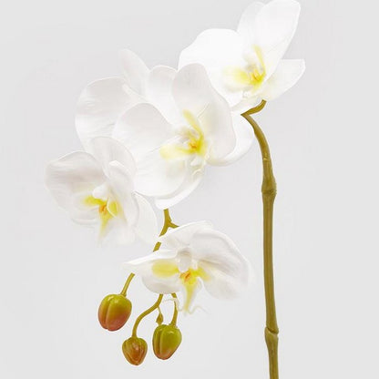 Ramo di orchidea artificiale Olis 3D 5 fiori 70 cm