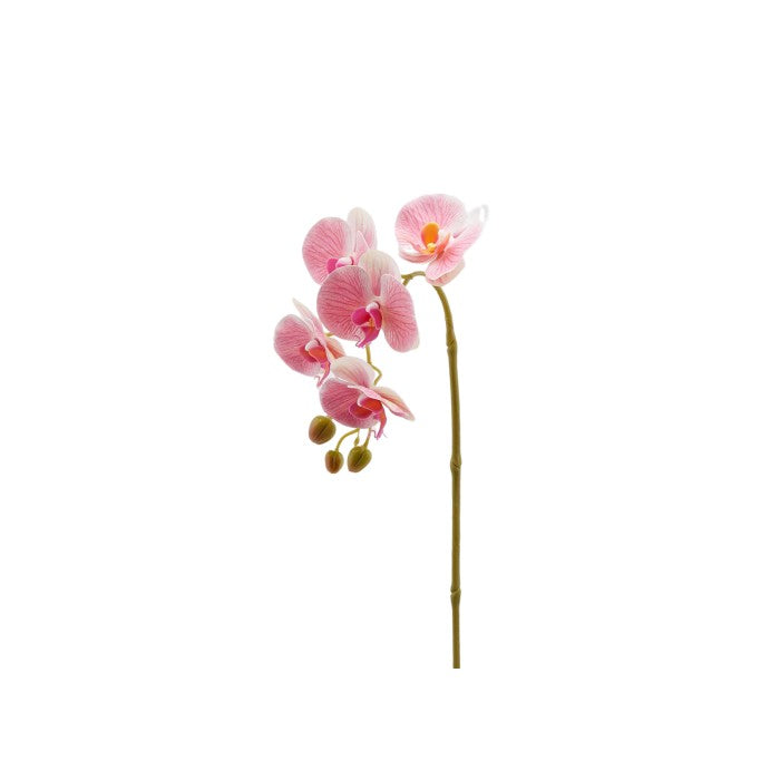 Ramo di orchidea artificiale Olis 3D 5 fiori 70 cm - EDG - 34259962527960
