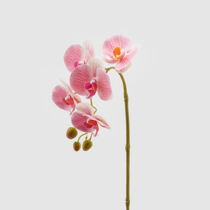 Ramo di orchidea artificiale Olis 3D 5 fiori 70 cm - EDG - 34259963019480