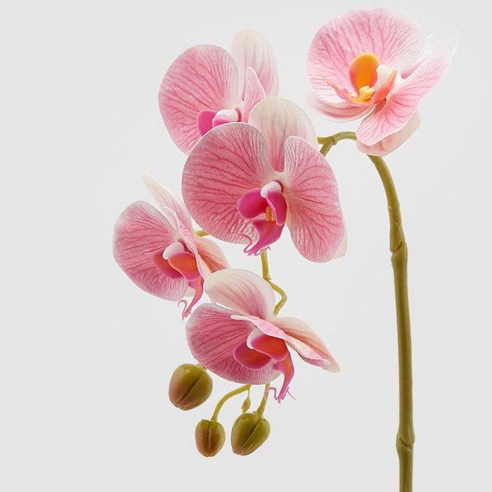 Ramo di orchidea artificiale Olis 3D 5 fiori 70 cm - EDG - 34259963117784