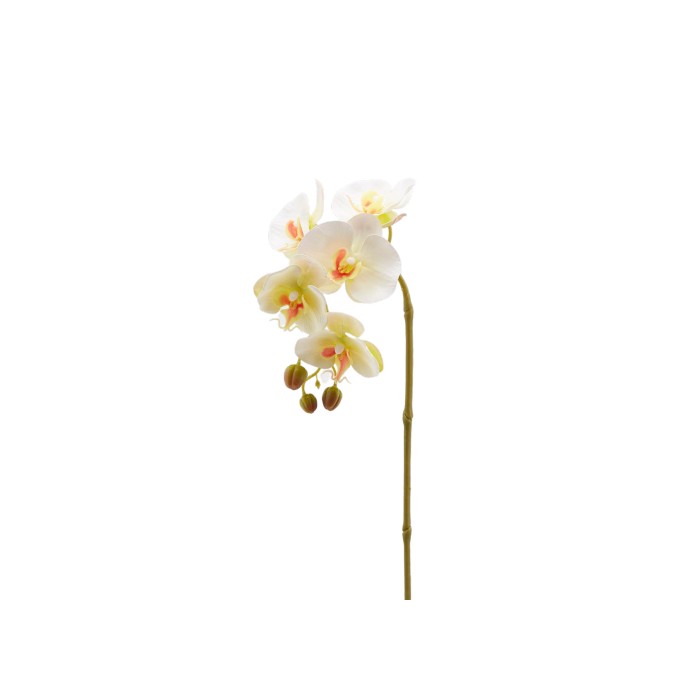 Ramo di orchidea artificiale Olis 3D 5 fiori 70 cm - EDG - 34259964952792