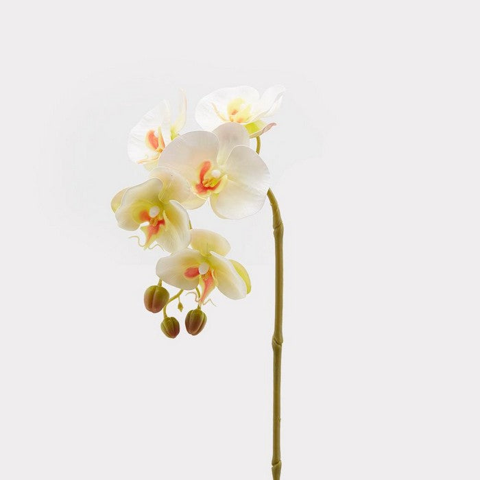 Ramo di orchidea artificiale Olis 3D 5 fiori 70 cm - EDG - 34259965116632