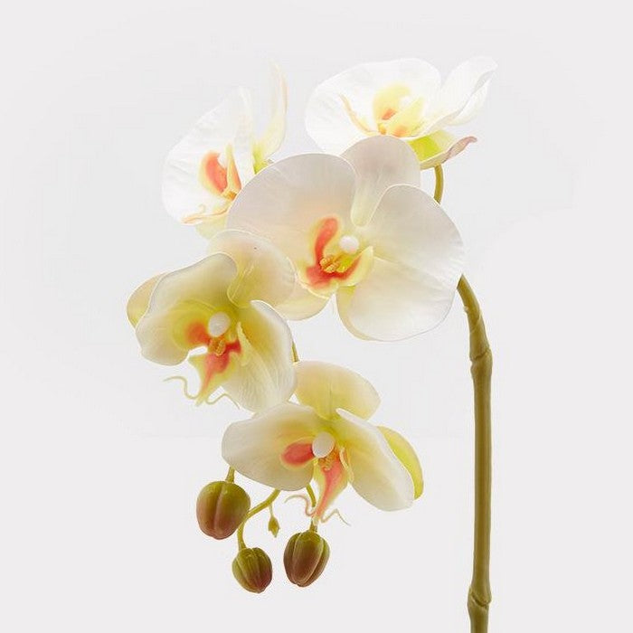 Ramo di orchidea artificiale Olis 3D 5 fiori 70 cm - EDG - 34259965378776