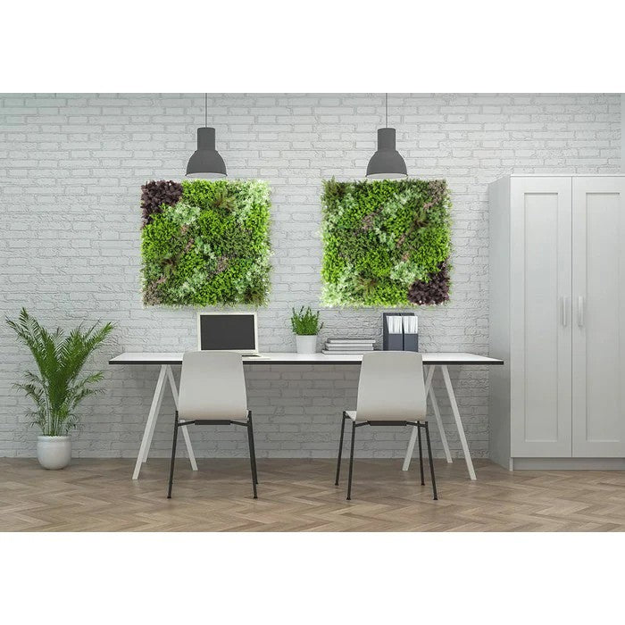 Parete con piante artificiali per giardino verticale 100x100 cm - Frame - BEST - 35731663093976