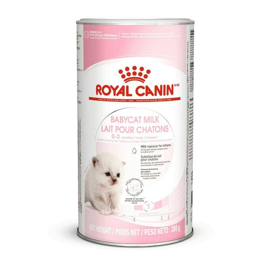 Royal Canin Cat Baby Cat Milk - ROYAL CANIN - 