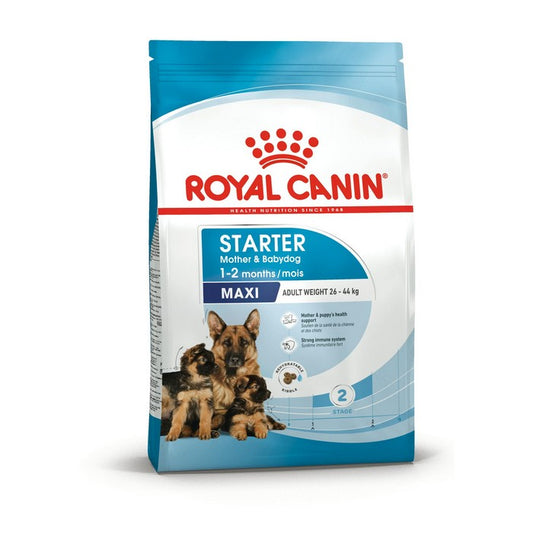 Royal Canin Dog Maxi Starter Mother&Babydog - ROYAL CANIN - 35152347955416