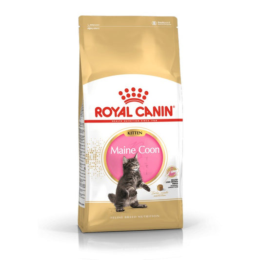 Royal Canin Cat Kitten Maine Coon - ROYAL CANIN - 