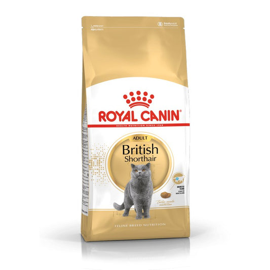 Royal Canin Cat British Shorthair Adult - ROYAL CANIN - 