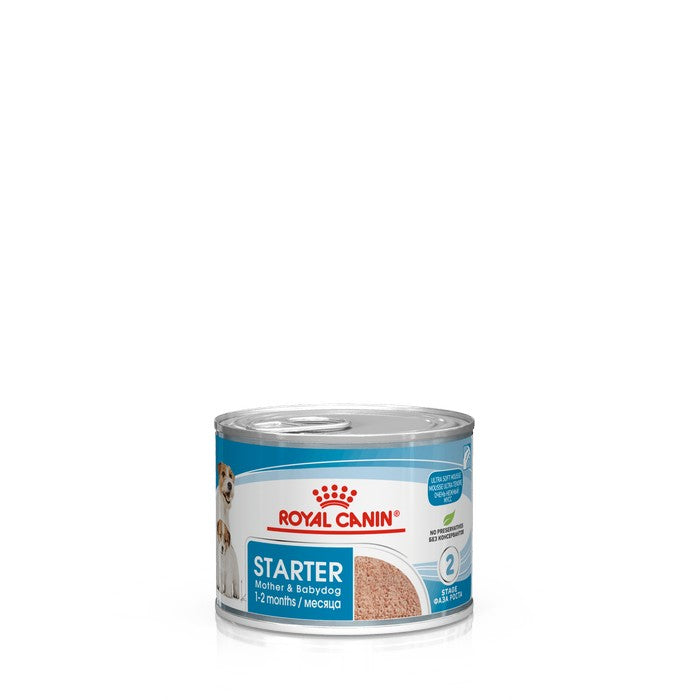 Royal Canin Dog Starter Mousse - ROYAL CANIN - 35152371679448