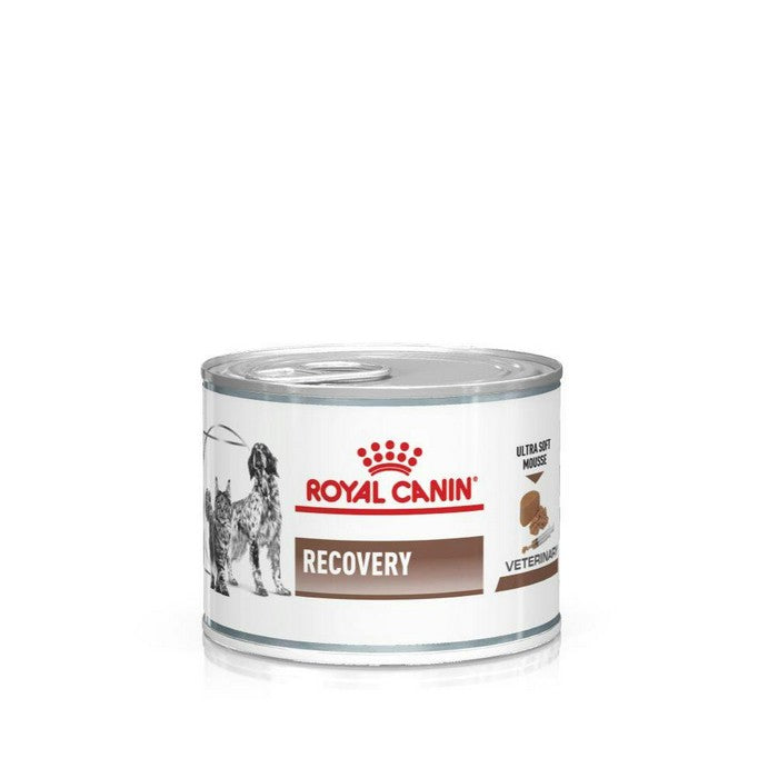 Royal Canin Dog Recovery - ROYAL CANIN - 35152375349464