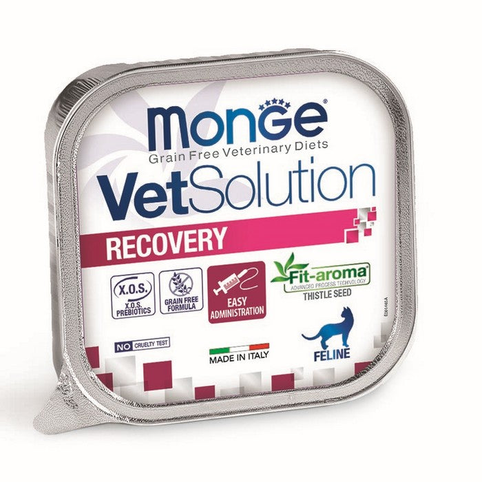 Monge VetSolution Gatto Recovery 100g - MONGE - 34290043420888